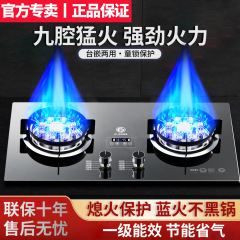 日本製ガスストーブダブルストーブ家庭用埋め込み天然ガス卓上液化ガスストーブタイミング強火ストーブ