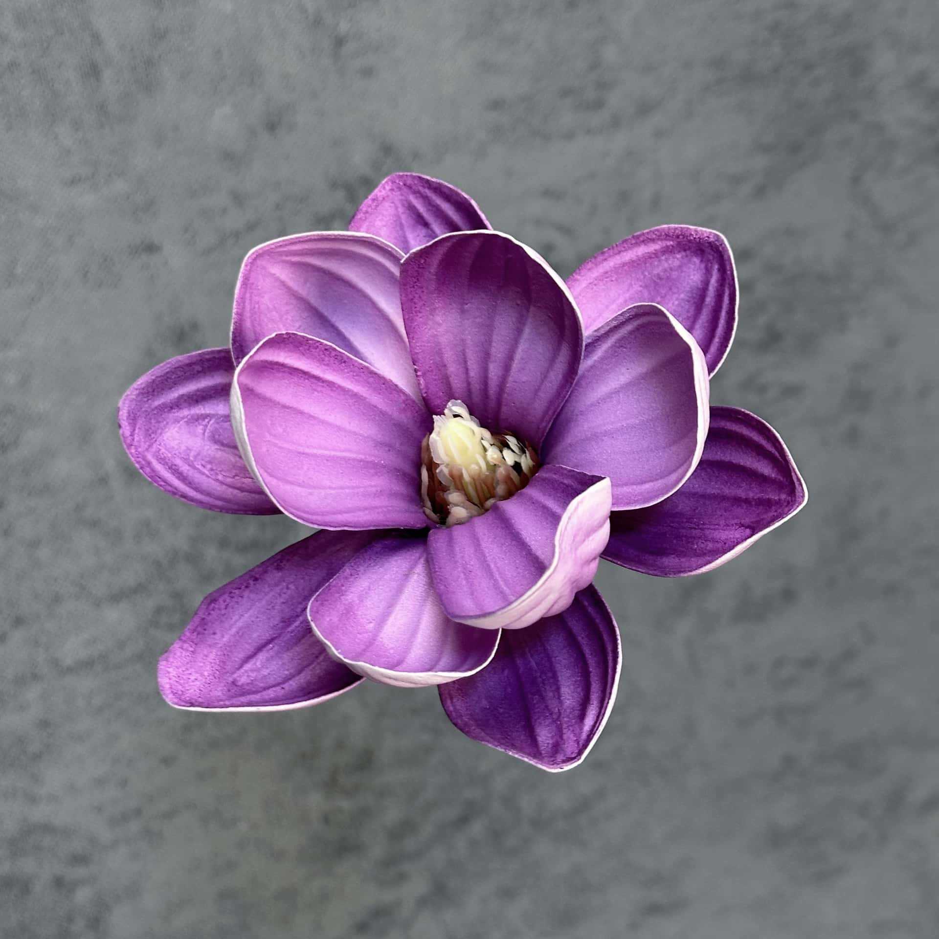 Flor de simulación transfronteriza EVA cabeza de magnolia 13cm tacto tocado kapok decoración decoración decoración flor falsa al por mayor