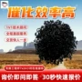 矿用co一氧化碳催化剂