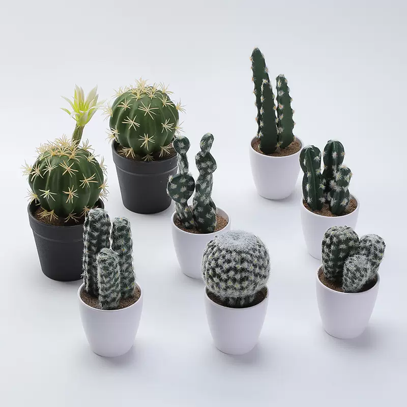 仿真仙人掌盆栽多种款式装饰办公桌面摆件好养活现货批发跨境热销