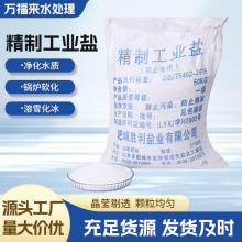 精制工业盐融雪除冰细盐水处理锅炉软化粗盐氯化钠大颗粒盐小颗粒