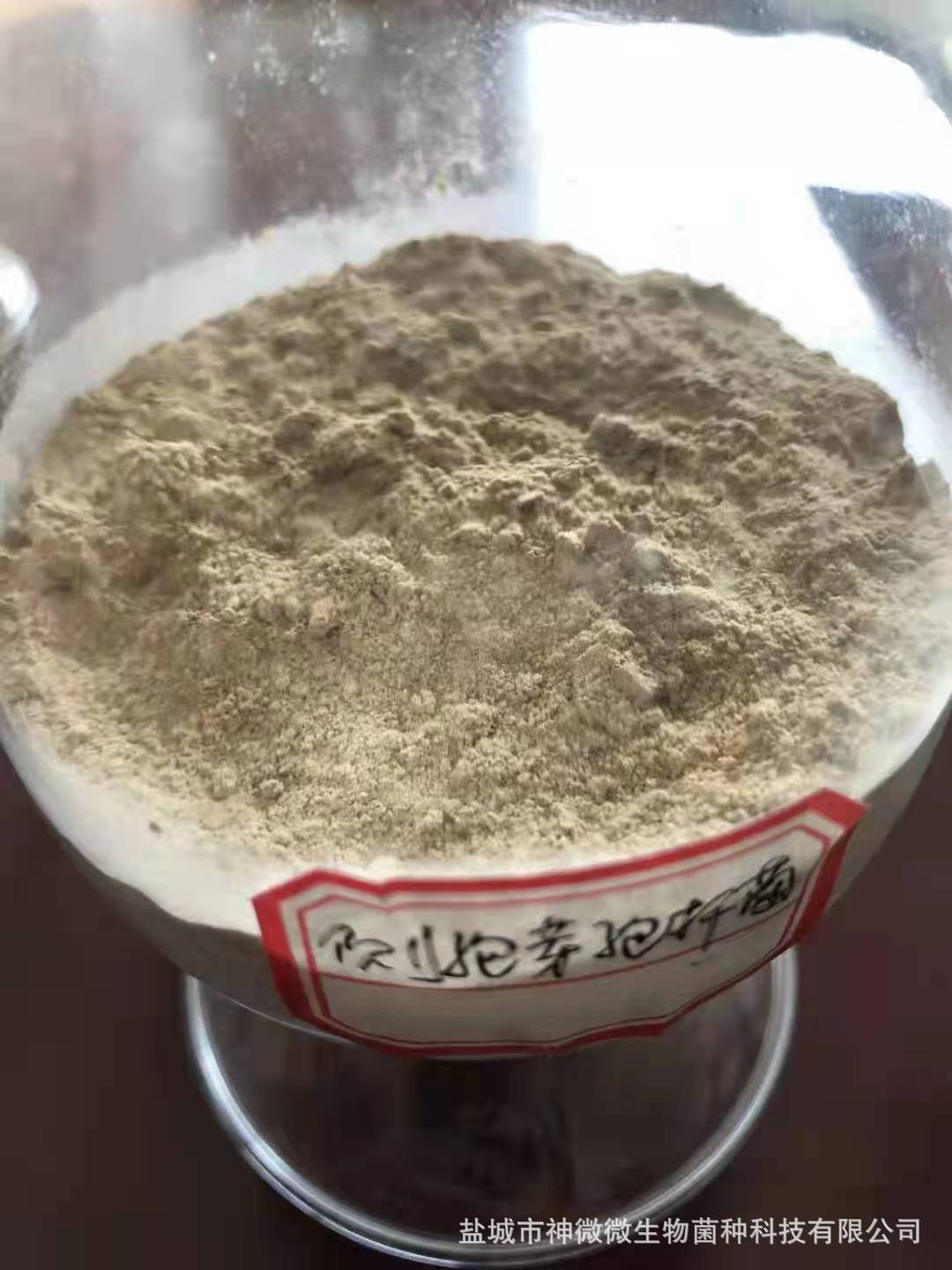 【水谷欣】侧孢芽孢杆菌  100亿孢子含量 1千克 其他含量请咨询