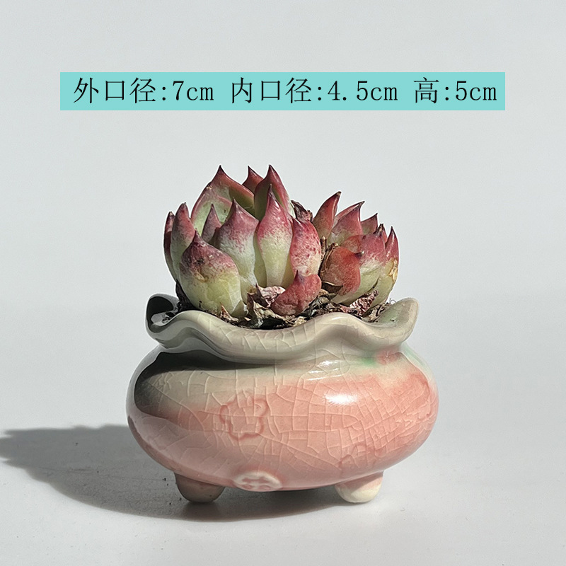 新商品の植木鉢の氷が裂けて虹色が清新で可愛いです。|undefined