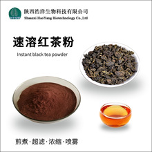 红茶提取物 浩洋生物 萃取 速溶红茶粉 茶多酚 食品原料 批发包邮