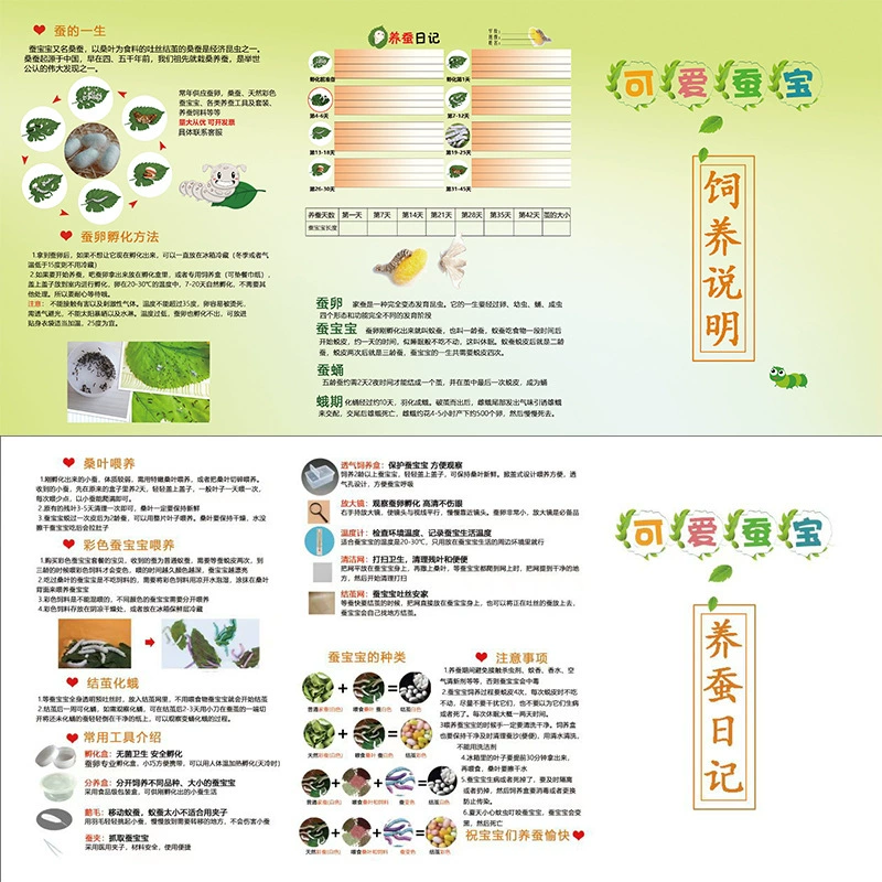 Инструкции по кормлению яиц шелкопряда Дневник разведения шелкопряда Детский сад Учащиеся начальной школы Инструмент для шелководства третьего класса
