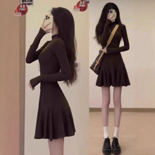 咖色休闲运动连衣裙女春秋新款半高领气质收腰长袖短款打底A字裙