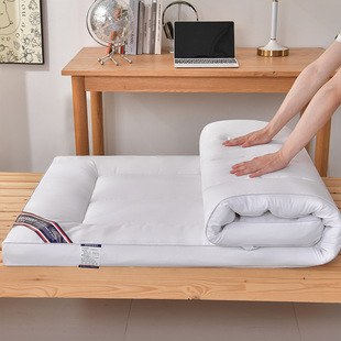 New Student Dormitory Brushed Mattress Soft Cushion Soft Simple Style Group Purchase Gift Purchase Nantong Home Textile Wholesale