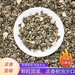 26年茉莉花茶 茉莉玉螺 横县源头厂家直供 批发散装茶叶 浓香雪螺