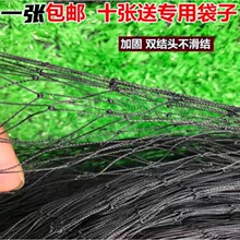 单层加粗高柔软套蛇尼龙网蛇袋网防蛇尼龙网黑色渔网强丝粘垒德株