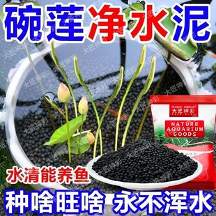 ��ɏ��������ˮ���಻��ˮ�҃�ͥԺ˯ɏ�~�X���~��ˮ���쾰������