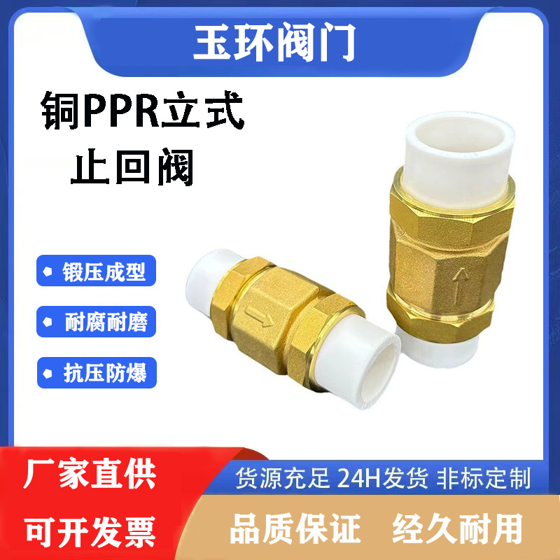 铜PPR立式止回阀20阀门25热熔水管4分6分1寸2寸3寸4寸缓闭式