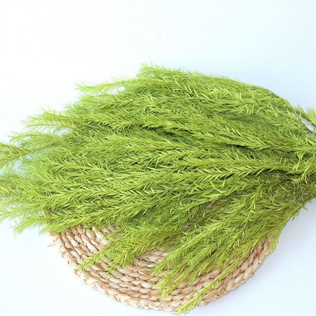 Verde claro
