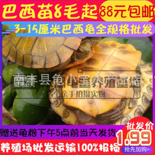 ������С�������������w�������������ؔ���Ųʰ���С���~������