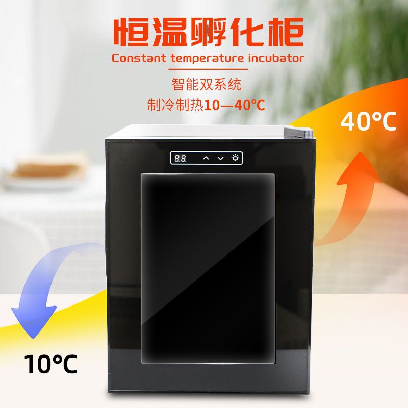 Small Turtle Egg Automatic Incubator Reptile Animal Incubator Lizard Egg Incubator Small Refrigerator Constant Temperature Fermentation Box