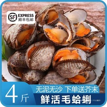 ���rë����ë͘���r����Ѫ�F��ëؐ�ˮ�a���۸����r��F�l�U�~