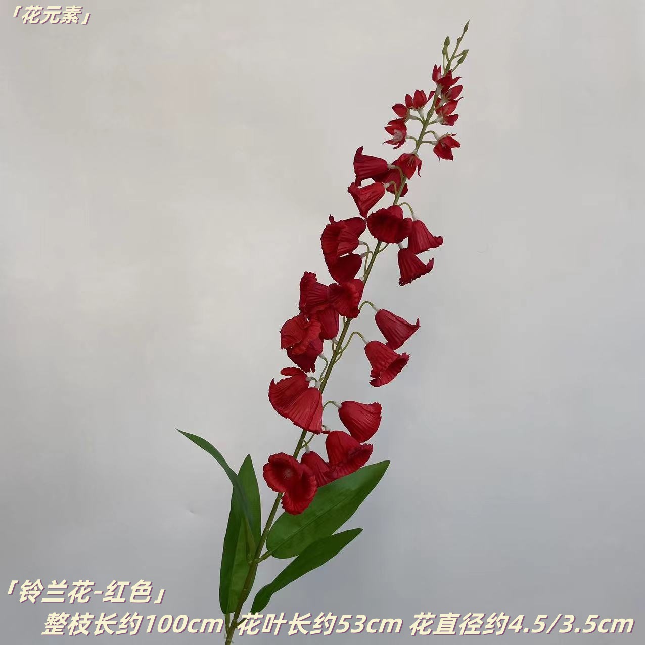 레드