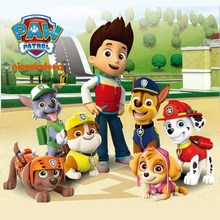 ���������������Ů�������܇���b�eľ����Ѳ߉܇��ͯ���N����