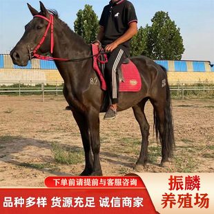 �����R �����R ���a�����R �����͟�� ʲô�ӵ�Ʒ�N�R���T���