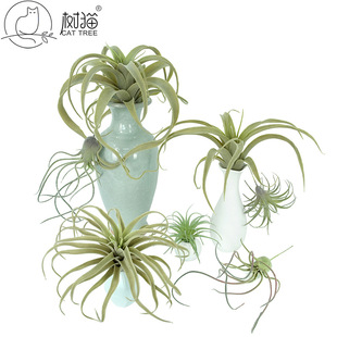 ����ٻ� ֲë�՚��P�� �������ֲ������횱ڒ젝���b��m����