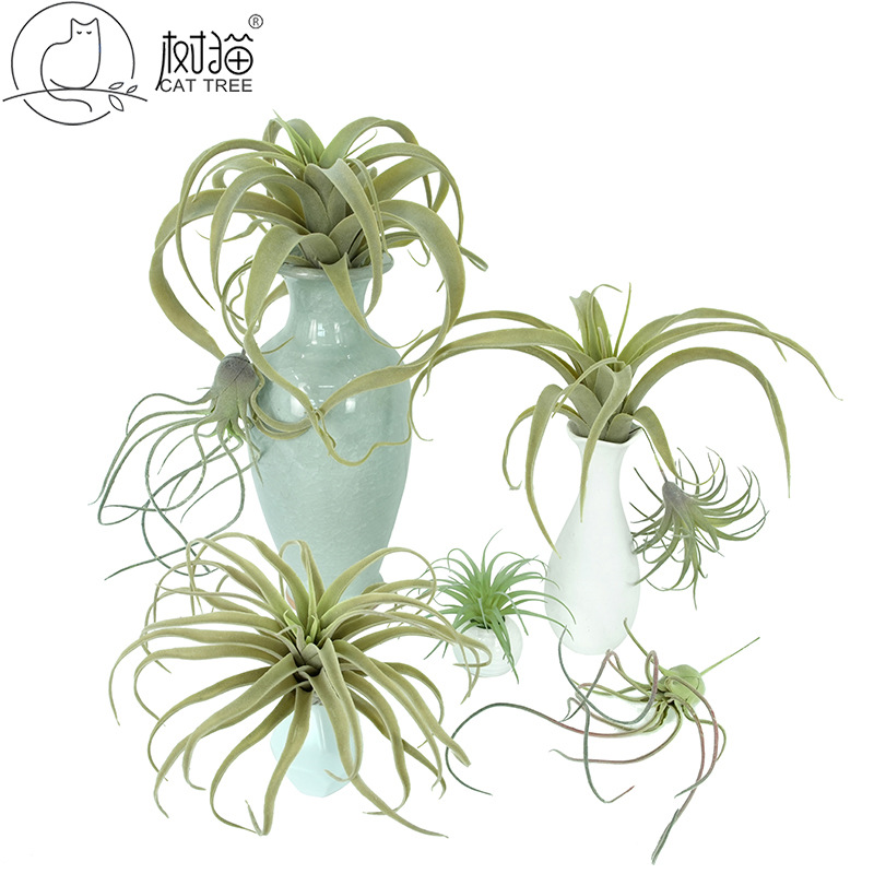 仿真假花 植毛空气凤梨 人造多肉植物老人须壁挂墙面装饰吊兰盆栽