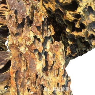 Aquarium landscaping Pine stone natural Dragon Bone Stone bonsai stone absorbent stone garden stalagmite stone landscaping stone