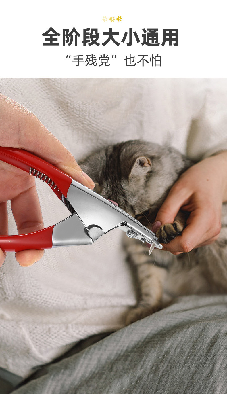 8a3a051a-694c-4b4f-a607-13051c01ca03.jpe