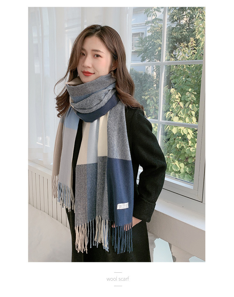 Women's Casual Simple Style Color Block Imitation Cashmere Tassel Scarf display picture 3