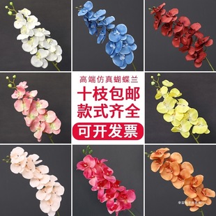 ���������m�����l�m���ٻ��廨��ɫ�b���ɫ��Y��ɫ��c����