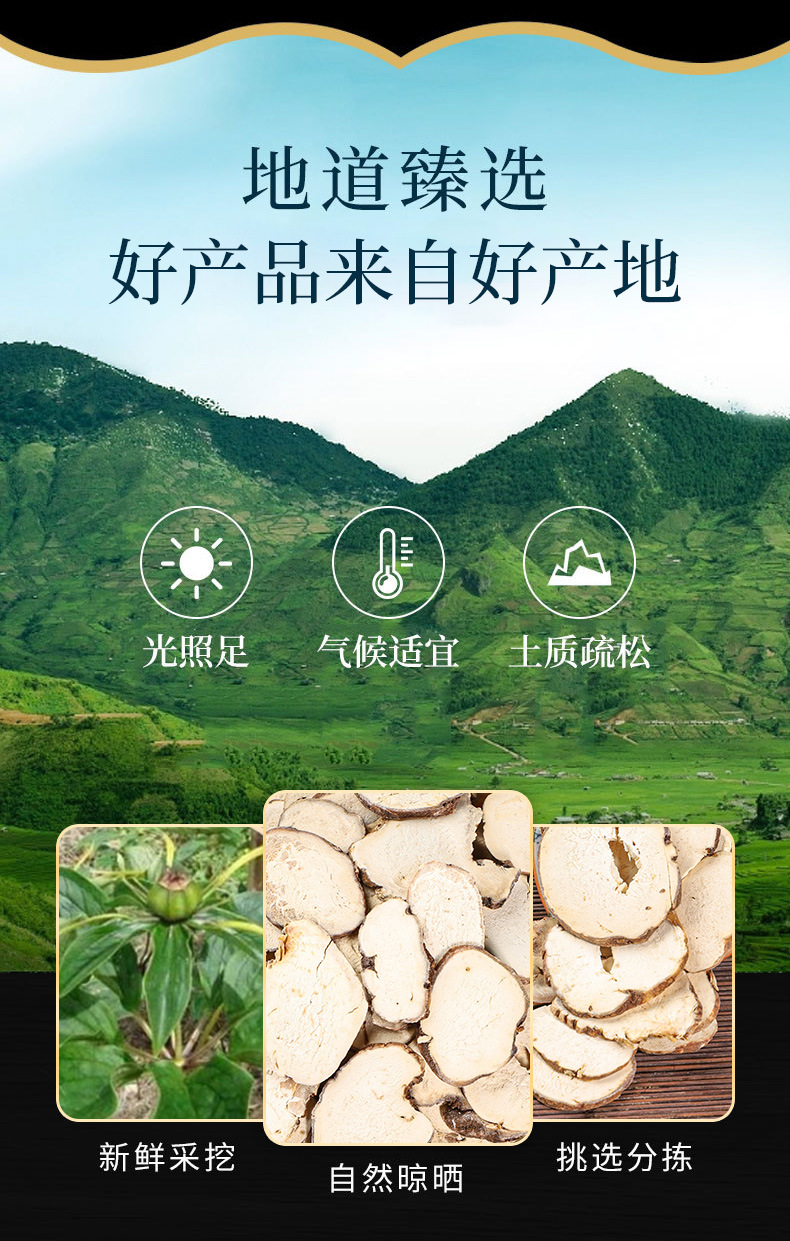 Chong Lou Slices & Whole Rhizome (Paris polyphylla) — Qi Ye Yi Zhi Hua Dried Herb overview