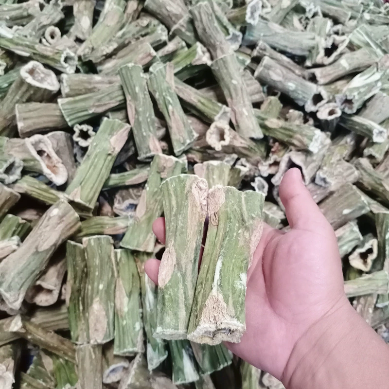 Кролик-шалот голландская свинья моляра папайя пирс молярная палочка закуски моляры