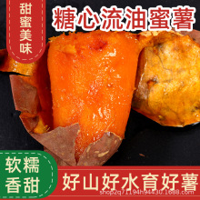 正宗烟薯25号新鲜现挖香甜流蜜烤地瓜软糯无丝皮薄蜜薯5斤散装