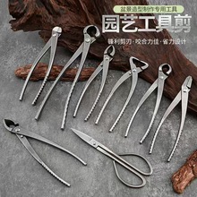热销盆景工具套装 球节剪斜球剪盆栽叶芽剪园艺专用 修枝树瘤树节