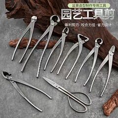 人気盆栽道具セット 球状剪定鋏 斜め球状剪定鋏 盆栽葉芽剪定鋏 園芸専用 剪定樹瘤樹節