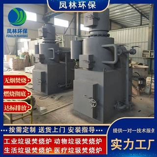 环保型垃圾气化炉 动物火化炉 垃圾焚烧炉设备 宠物焚化炉
