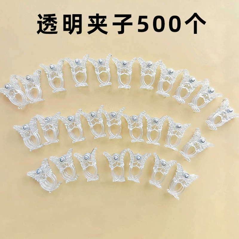500 transparent clips