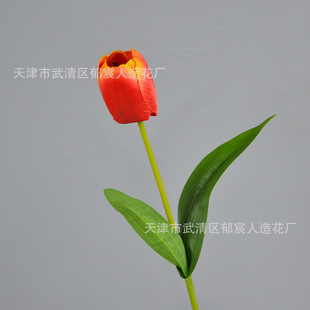 ��֦���������� ��ͥ���Ի��ܲ廨 ���컨 �T�^���h�仨 ��Y�b�