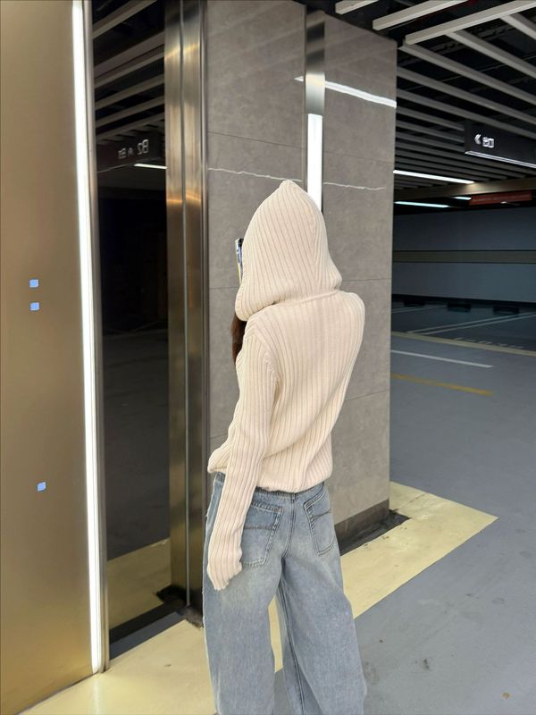 SUNONEOE 双面织拉链竖条连帽针织开衫女早秋季修身显瘦气质上衣|undefined