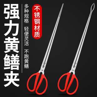 ���P��S�X�A�ӱ������h�Q�s���Ӻ�����X�~ץ�~����������ץ�з