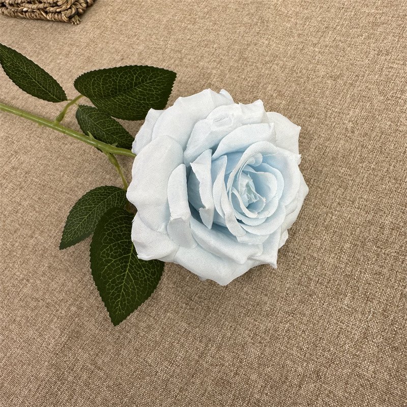 Single scrolled rose Light Blue