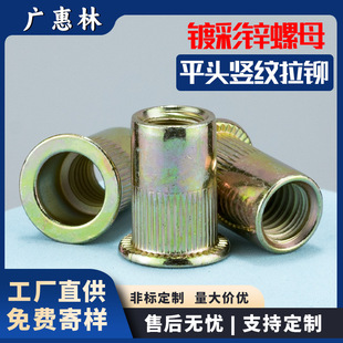 ���\������Tƽ�^�T��ĸM4/M5/M6ͨ���Q�y�A���ݽz��ñM8/M10/M12