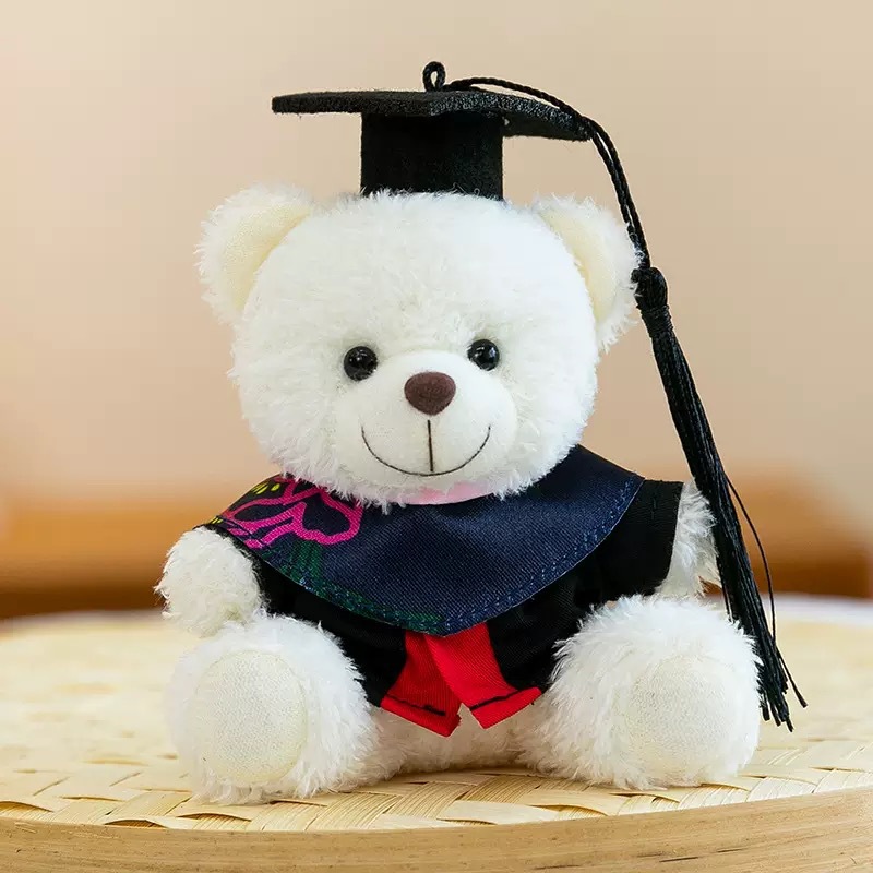 Dr. Bear Colgante muñeca puede imprimir LOGO sombrero doctor regalos de graduación uniformes de muñeca oso bolsos llaveros