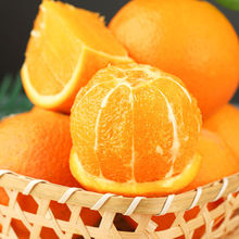 精品赣南脐橙新鲜赣州橙子江西甜橙水果果冻鲜橙批发工厂一件批发