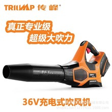 ����36V���ʏ������L�C���ʽ���I���L�C����o���늴����~�C