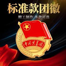 批发新版标准型中国共青团团徽团员徽章中央监制学生团员胸针磁铁