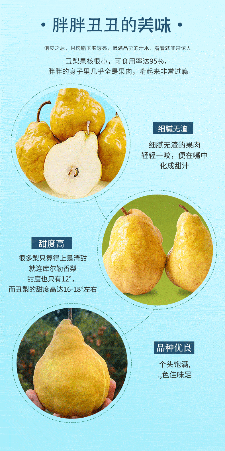 果品供应链山东烟台中华丑梨水果软梨软糯多汁太婆梨批发代发包邮-阿里巴巴