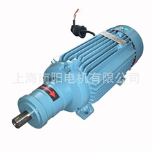 直供上海南阳 磨头电机NY3-80L2-2 2.2KW 三相异步电动机玻璃机械