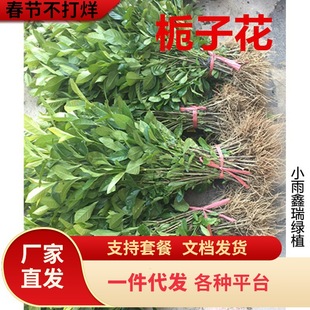 һ�����l�d�ӻ�����С������ʹ�С�~��������ĵ���d���̨ͥԺ�G