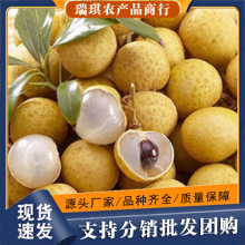 �V�|�������r����ʯ���������x5��Fժ�F�l�����Ϙ���A��S���]