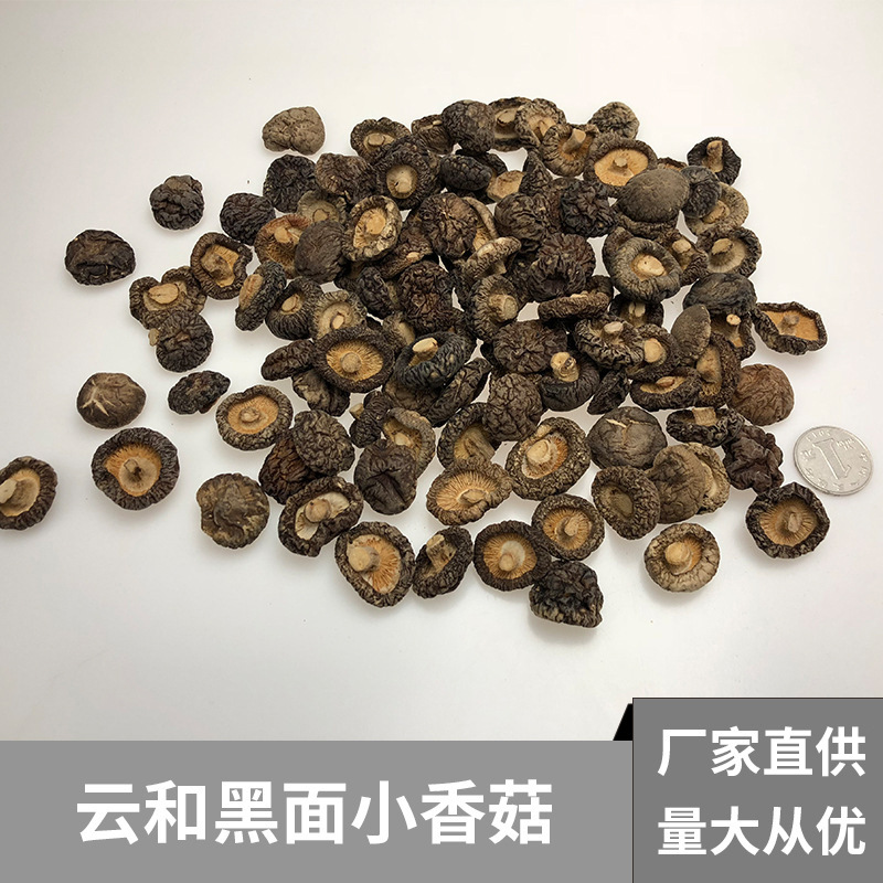 云和黑面小香菇 产地批发 干香菇干货500g 批发散装农产品香菇干