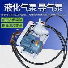 220v液化气泵导气泵12V车载倒气泵充气泵48V煤气高压泵丙烷泵